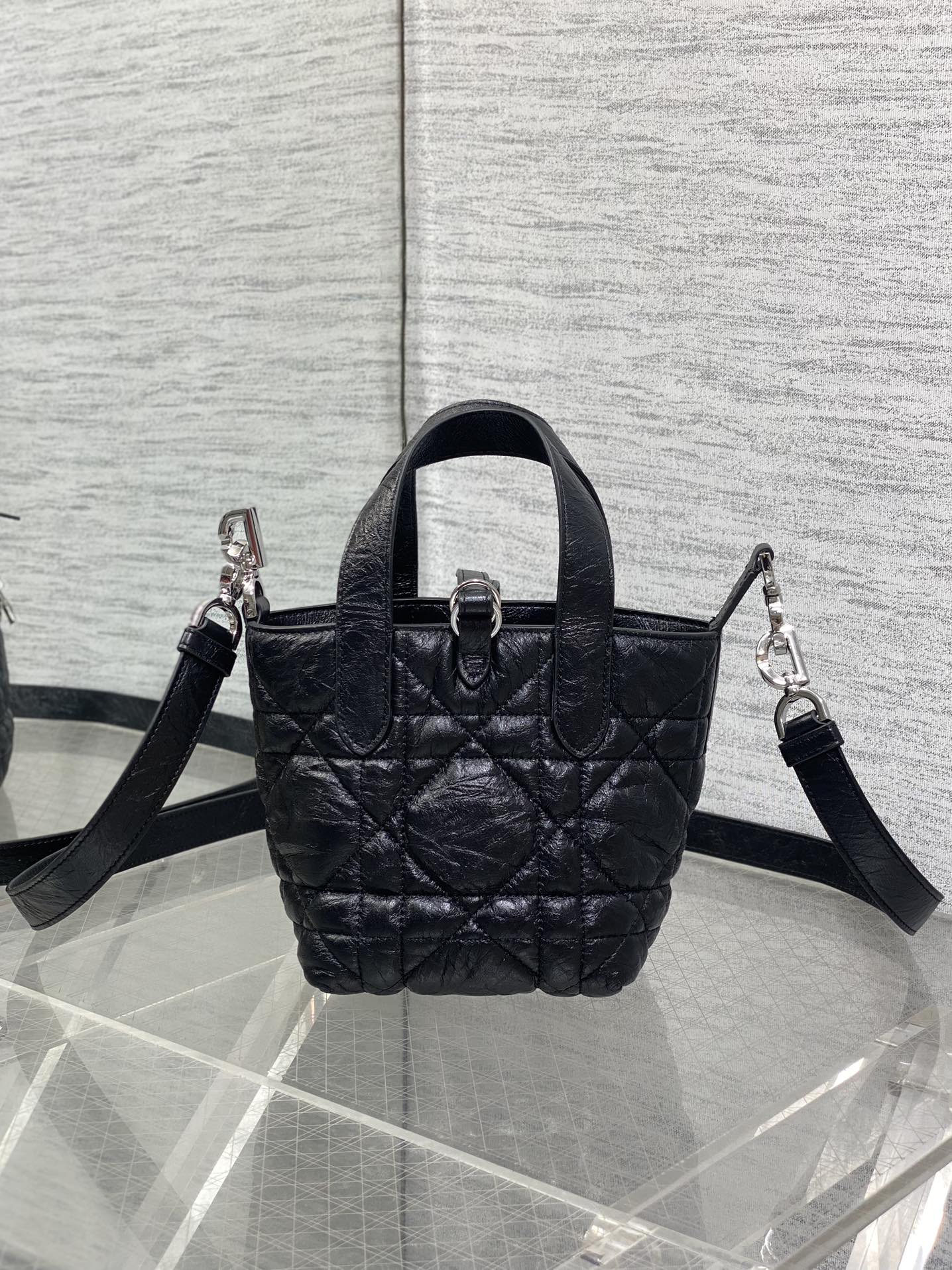 Dior Toujours vertical series mini