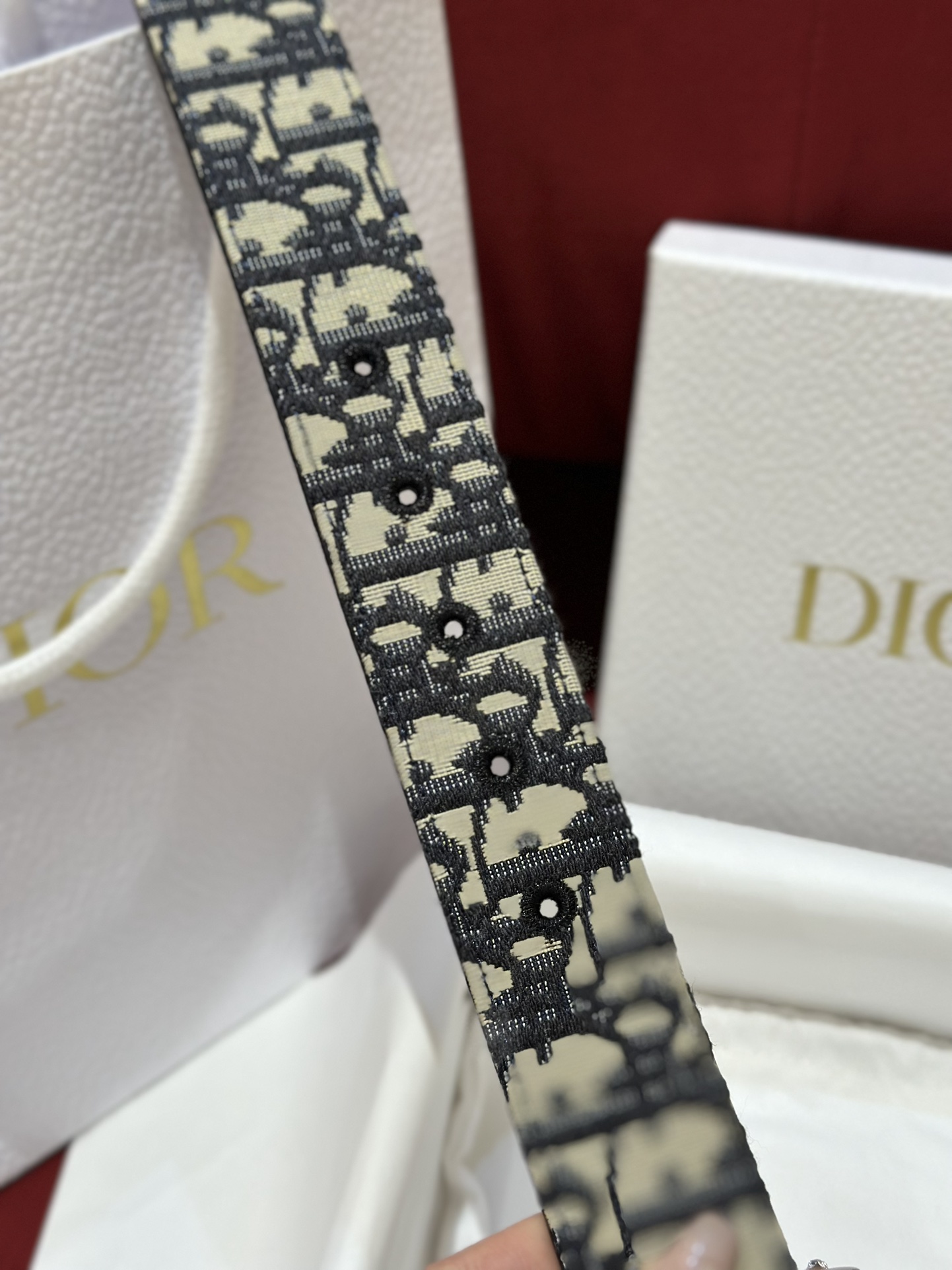 Dior CD Buckle Canvas Leather Belt 3.5CM Width