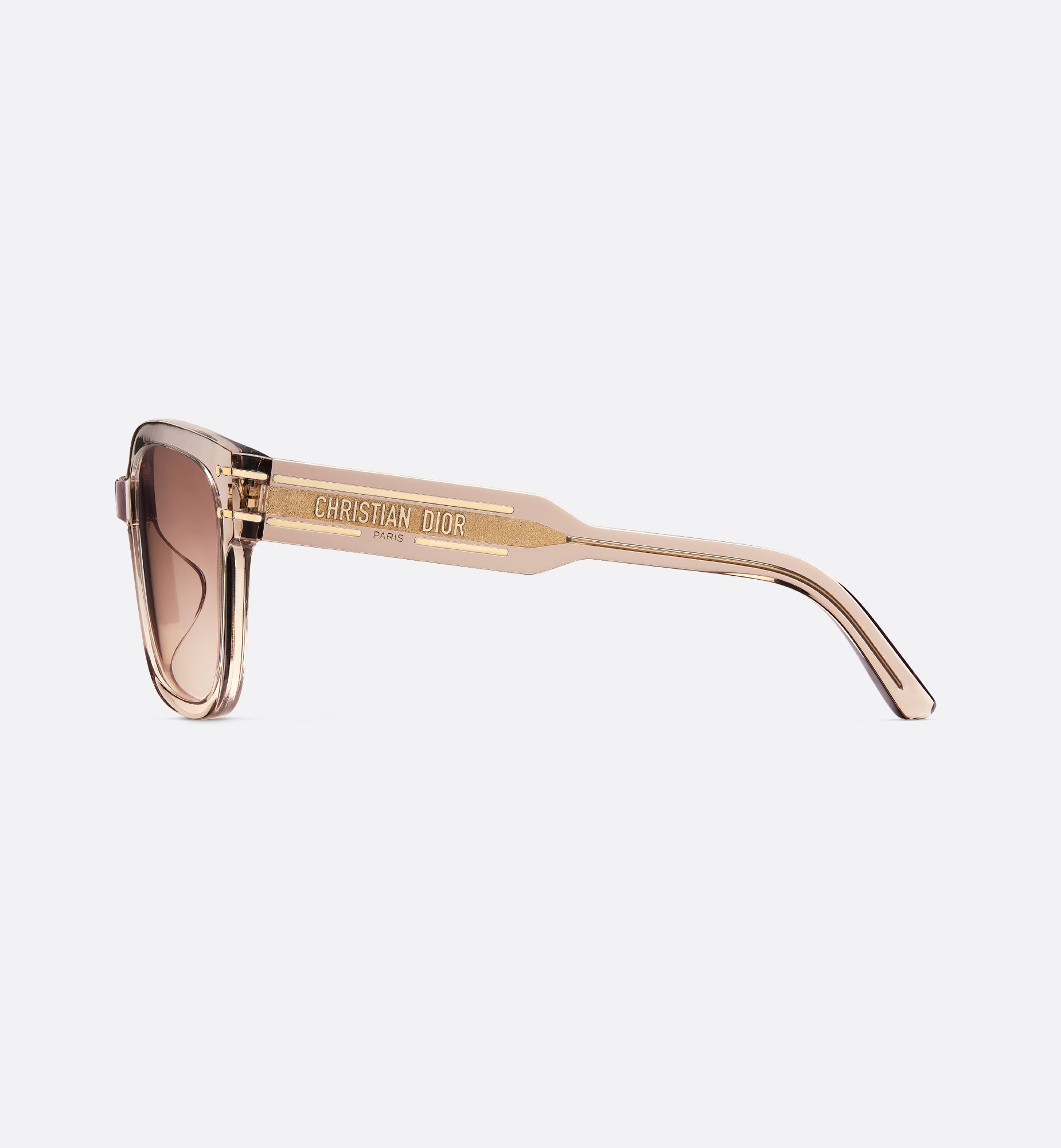 Dior DiorSignature S7F Sunglasses DSGTS7FXR_78F1