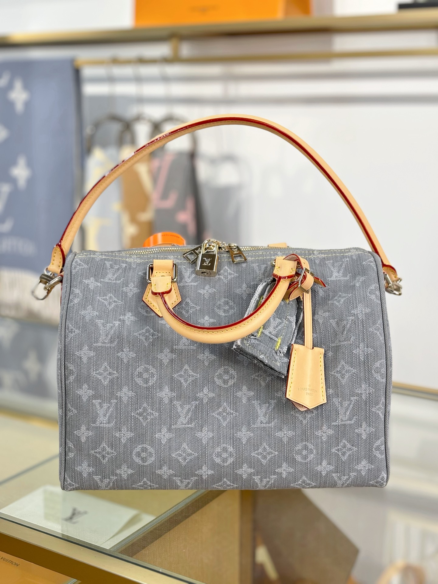 Louis Vuitton SPEEDY SOFT 30 Bag M13344