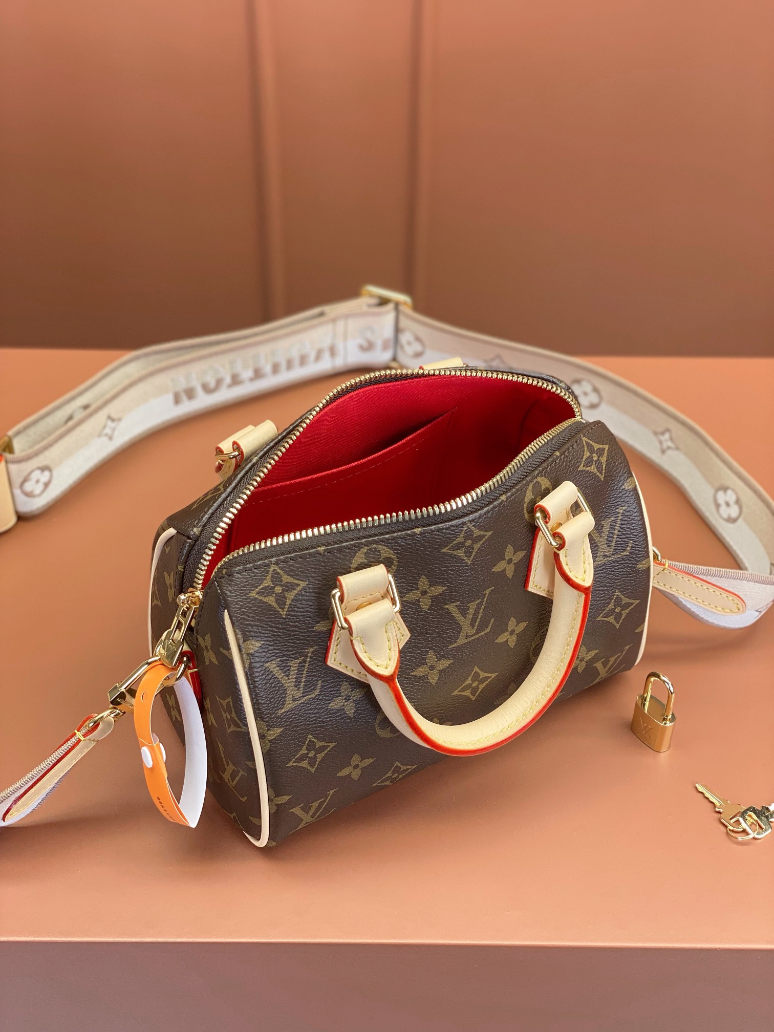 Louis Vuitton SPEEDY BANDOULIÈRE 20 Handbag M46222