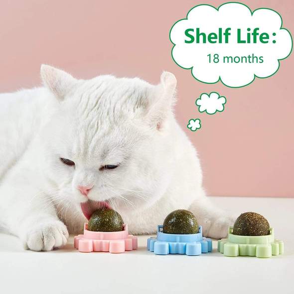 🔥Mother's Day Sale 50% Off- Catnip Ball Toy – Teething Cleaning (Set of 3 pcs)🔥BUY 2 SETS GET 10% OFF & FREE SHIPPING