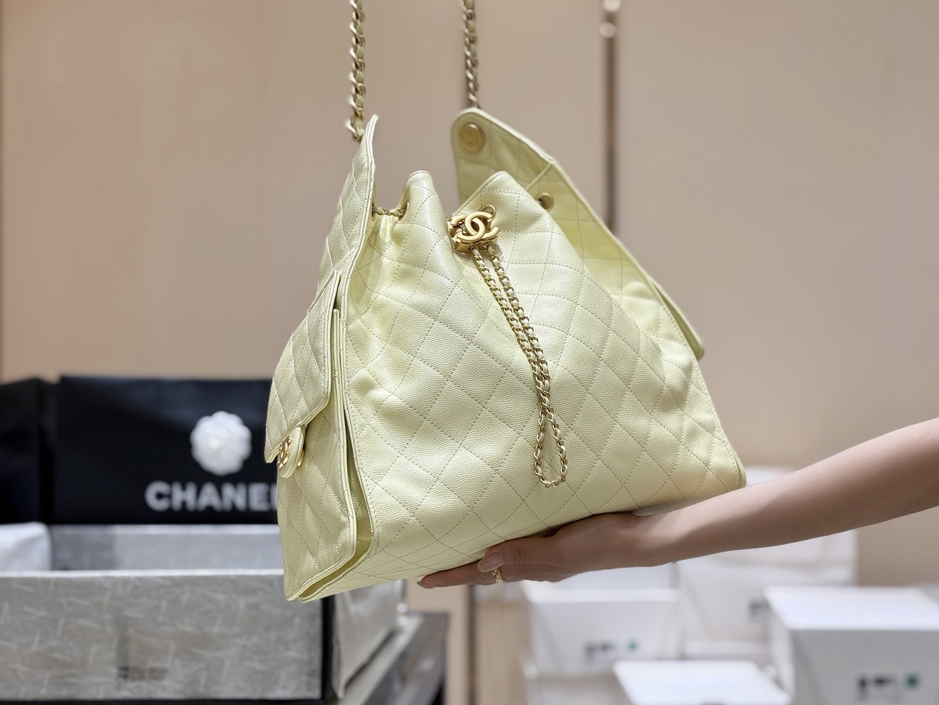 Chanel 25S Spring/Summer Collection Large Handbag AS5311 00188