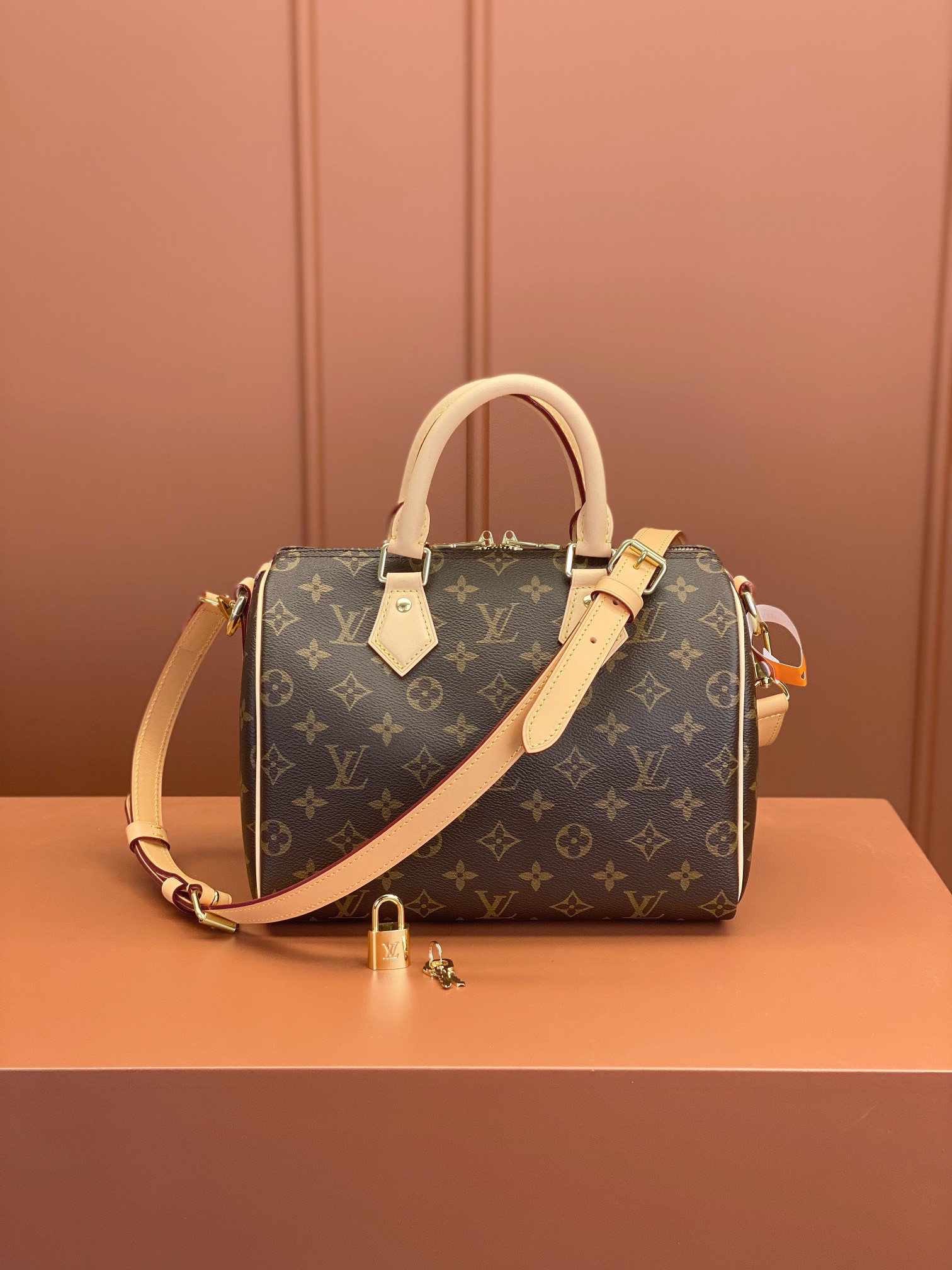 Louis Vuitton SPEEDY 25 Handbag M41113