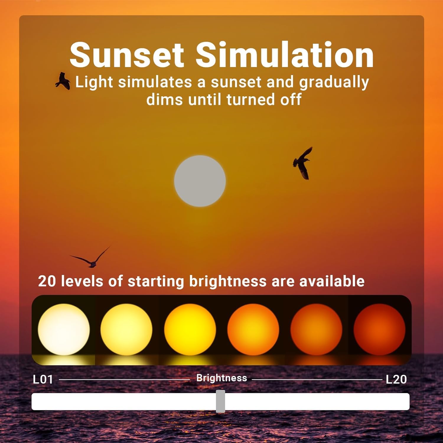 Sunrise Alarm Clock for Heavy Sleepers, Wake Up Light with Sunrise/Sunset Simulation