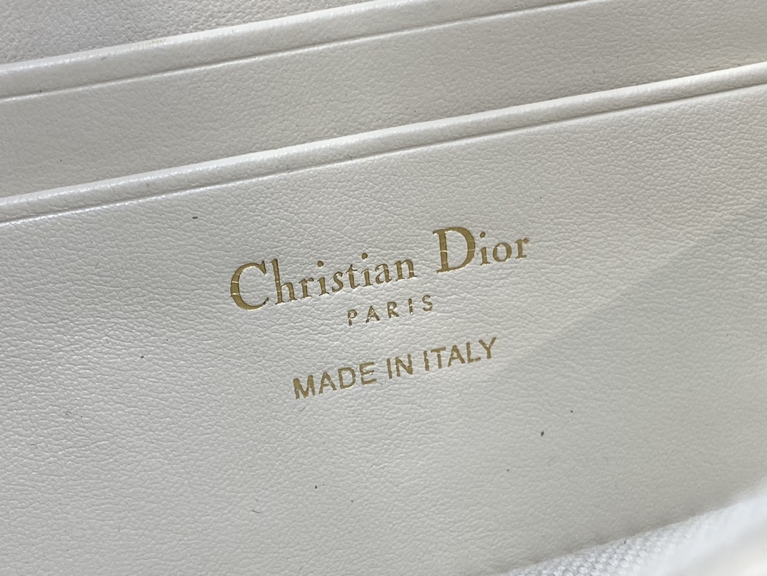 Dior 30 Montaigne Cigale Chain Bag
