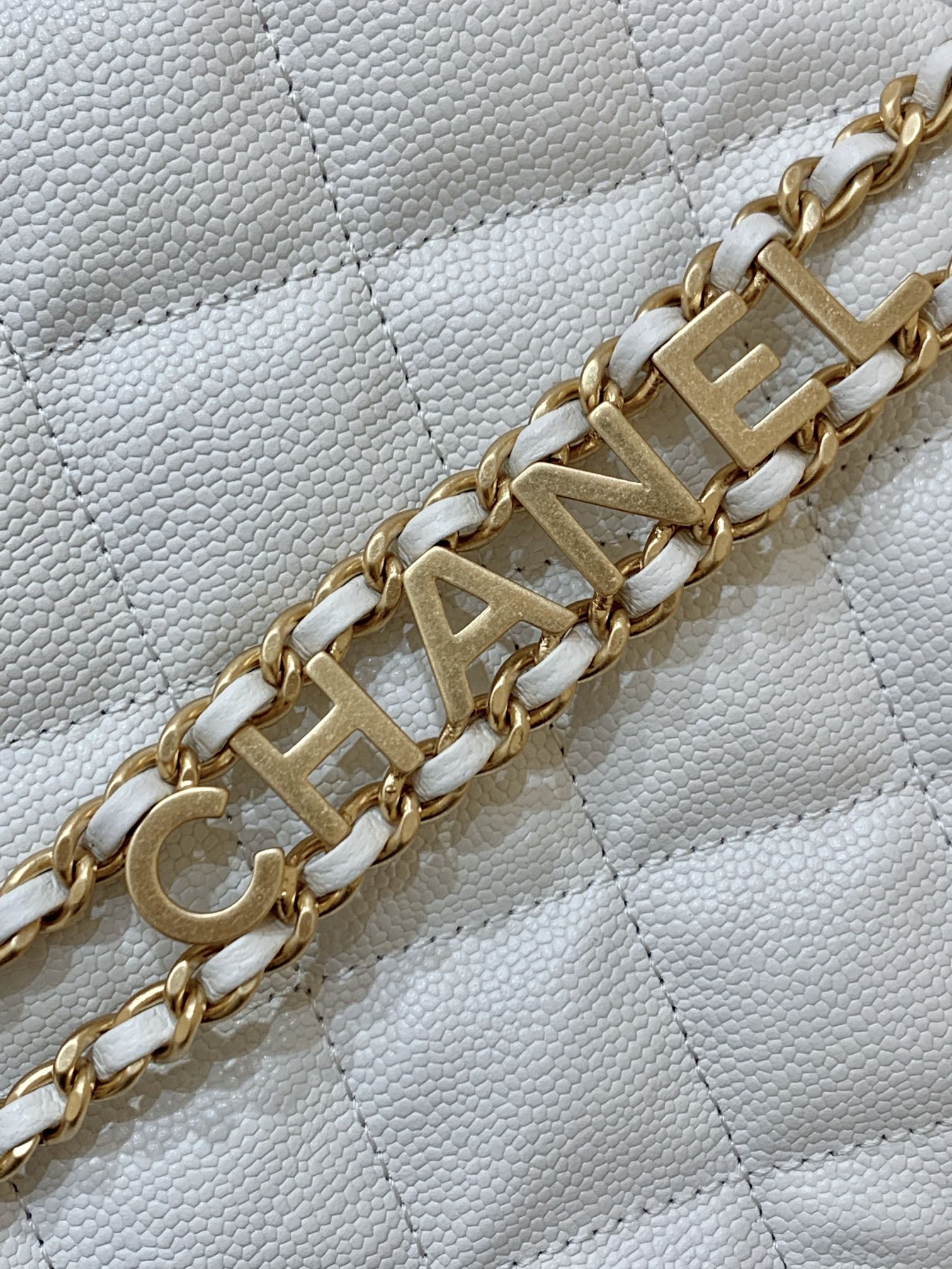 Chanel 2022cc Spring/Summer Collection Hobo Underarm Bag AS3223