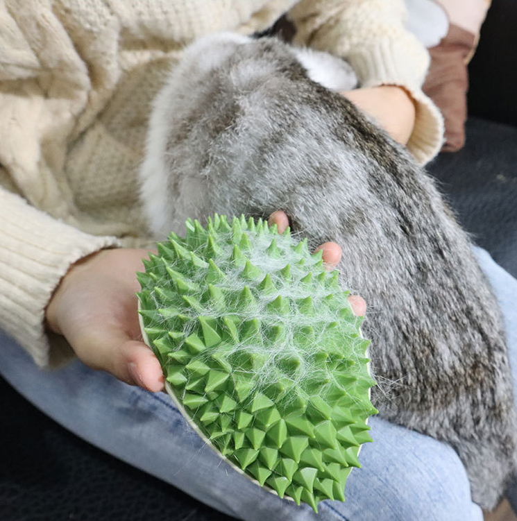🔥Last Day Promotion 50% OFF🔥-Durian Teeth Grinding Slow Eating Scratch Itching Comb-BUY 2 GET 1 FREE NOW