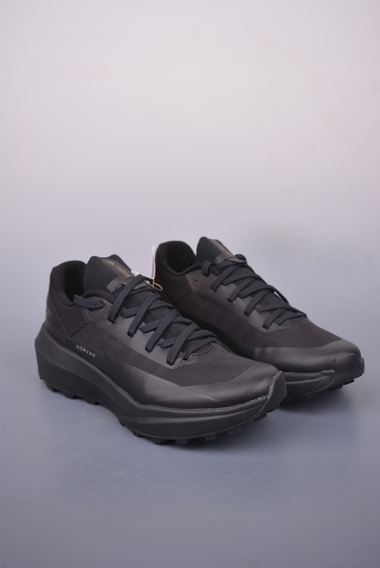 Arc'teryx Norvan LD 4 