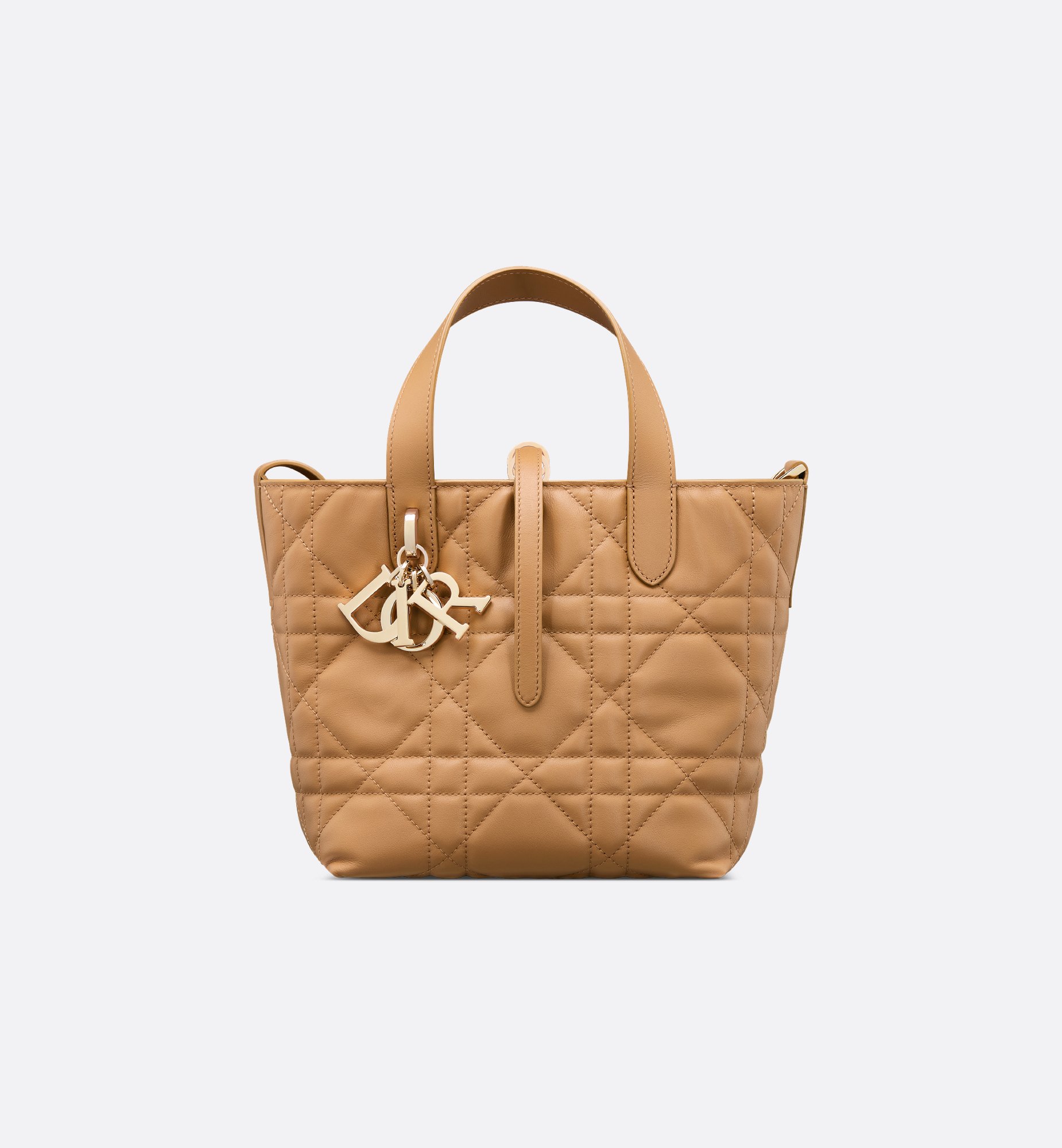 Dior Small Dior Toujours Vertical Bag M2835OSNW_M34U
