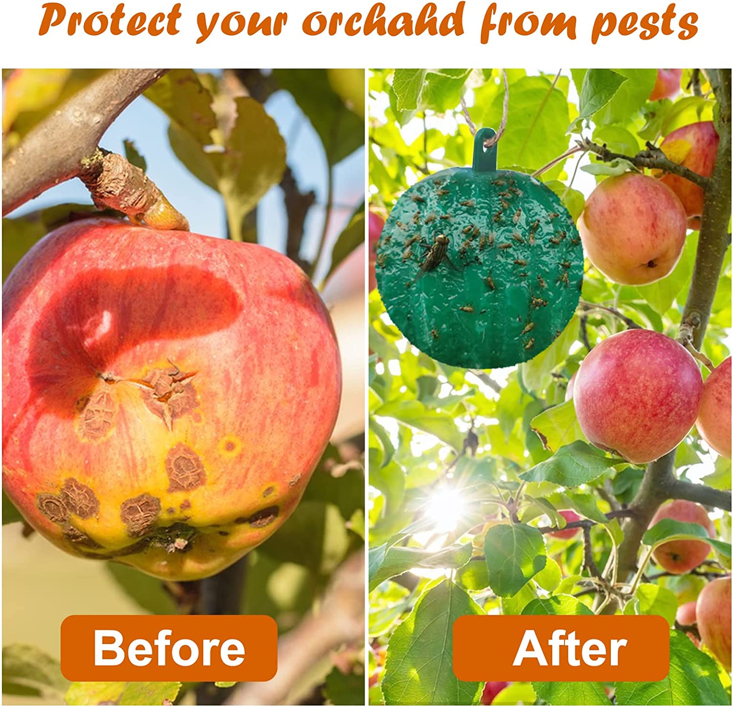 🔥Last Day Promotion - 50% OFF🔥Hanging Environmental Fruit Fly Traps Sticky Traps-BUY 5 GET 3 FREE