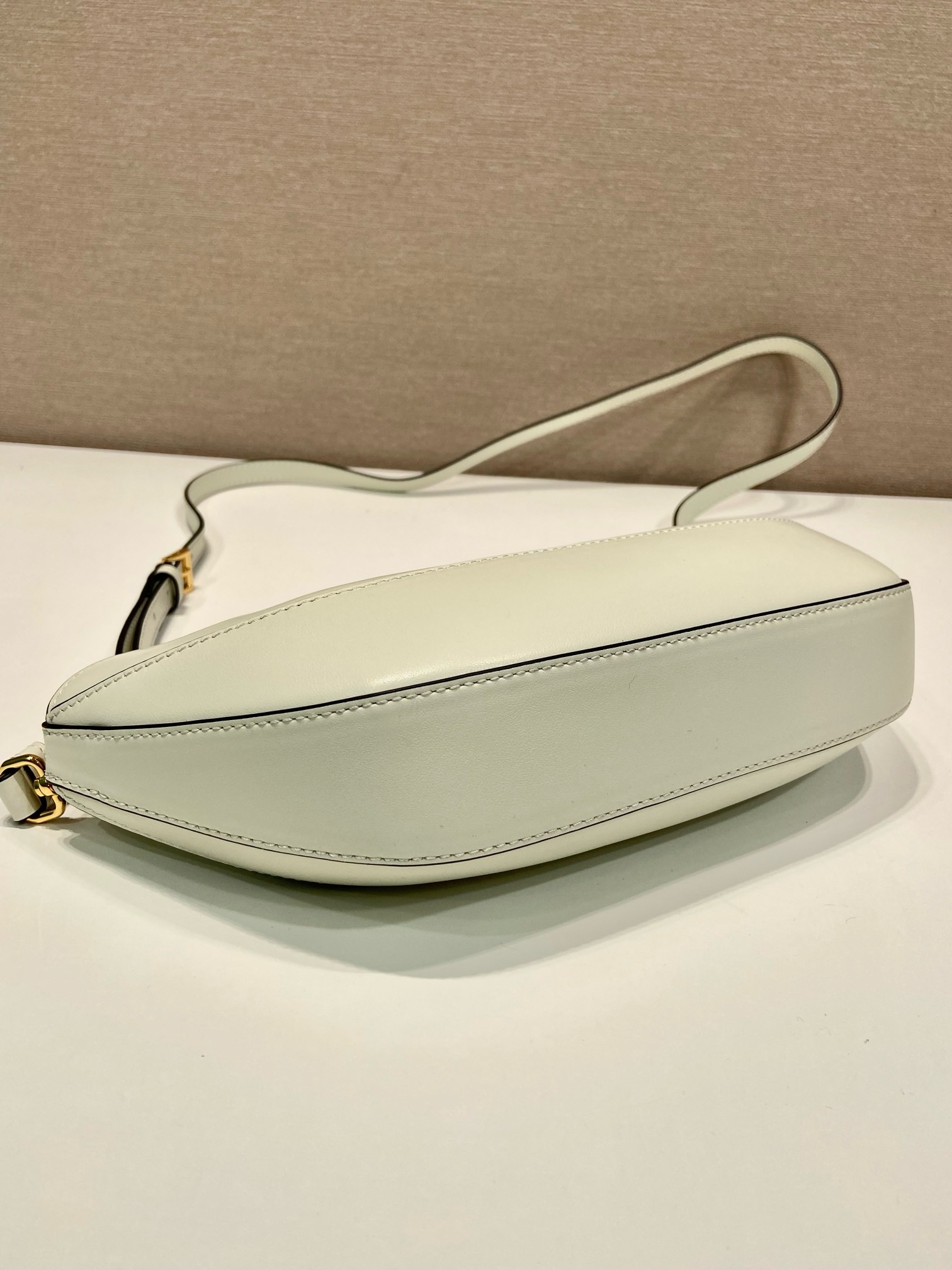 Prada Dumpling Bag 1BA421