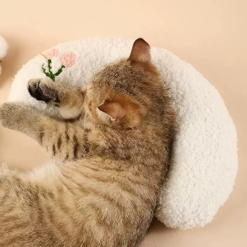 Cat Lovely Cozy Pillow--BUY 3 GET 2 FREE & FREE SHIPPING