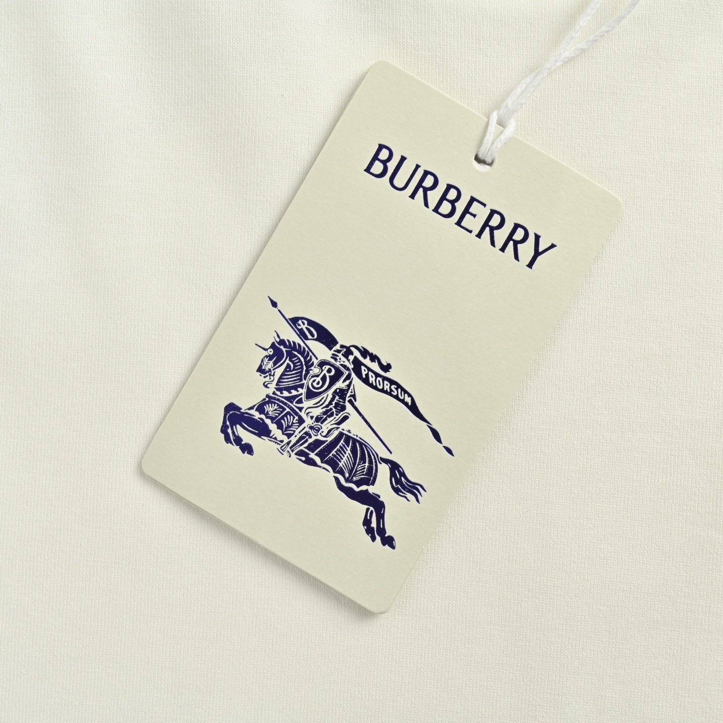 Burberry 25ss back circle warhorse foam print short sleeve