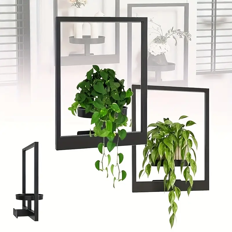 💐Photo Frame Wall Plant Stand