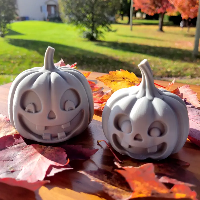Happy Halloween Buddies:Jack and Ginger!