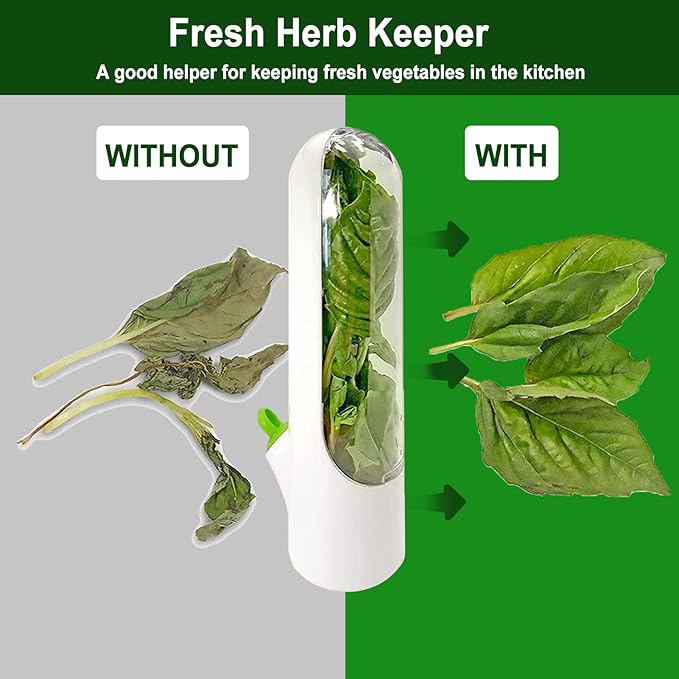 🥬🥬Fresh Vegetable Storage Box