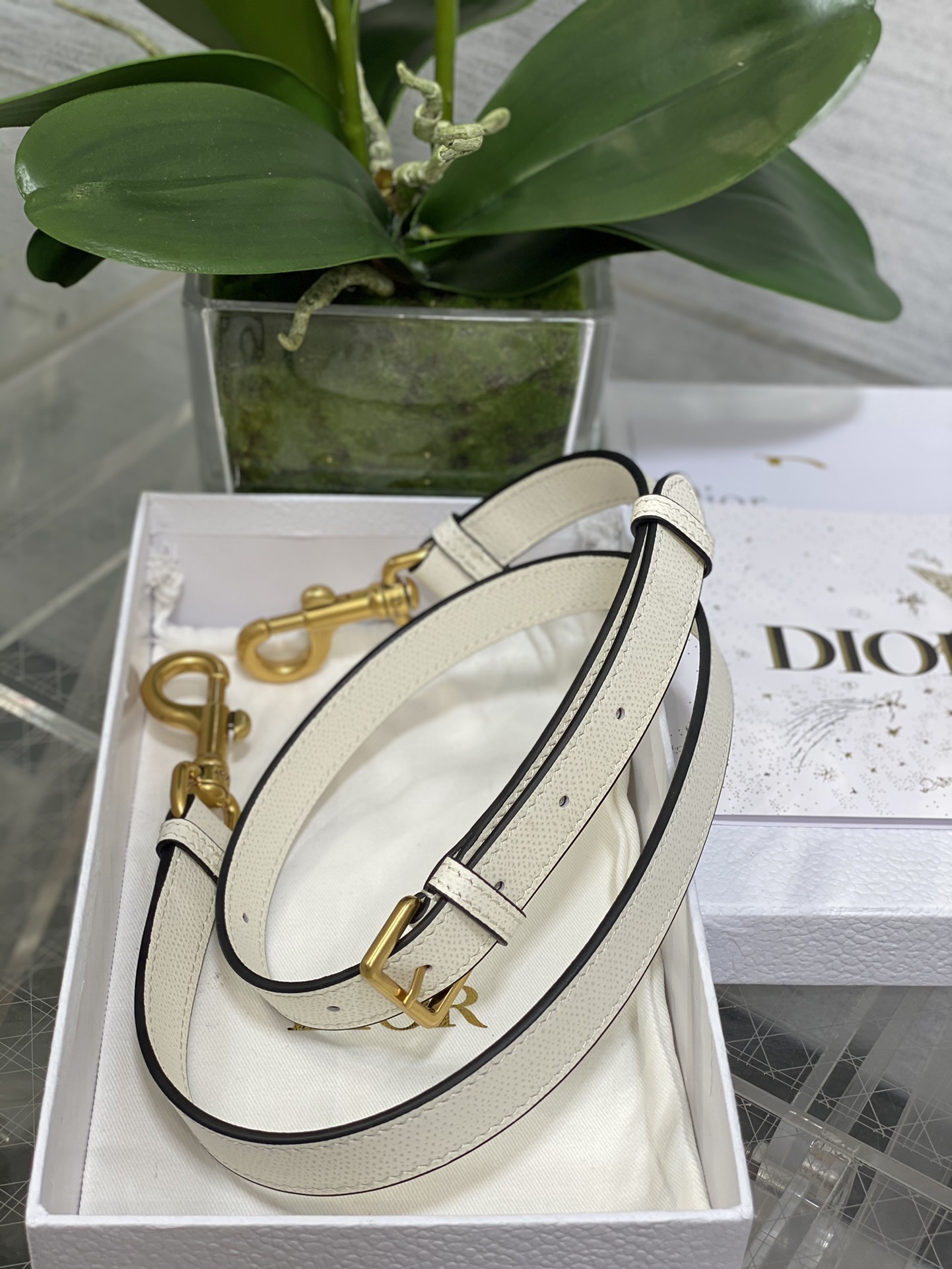 Dior CD Saddle Classic Saddle Bag