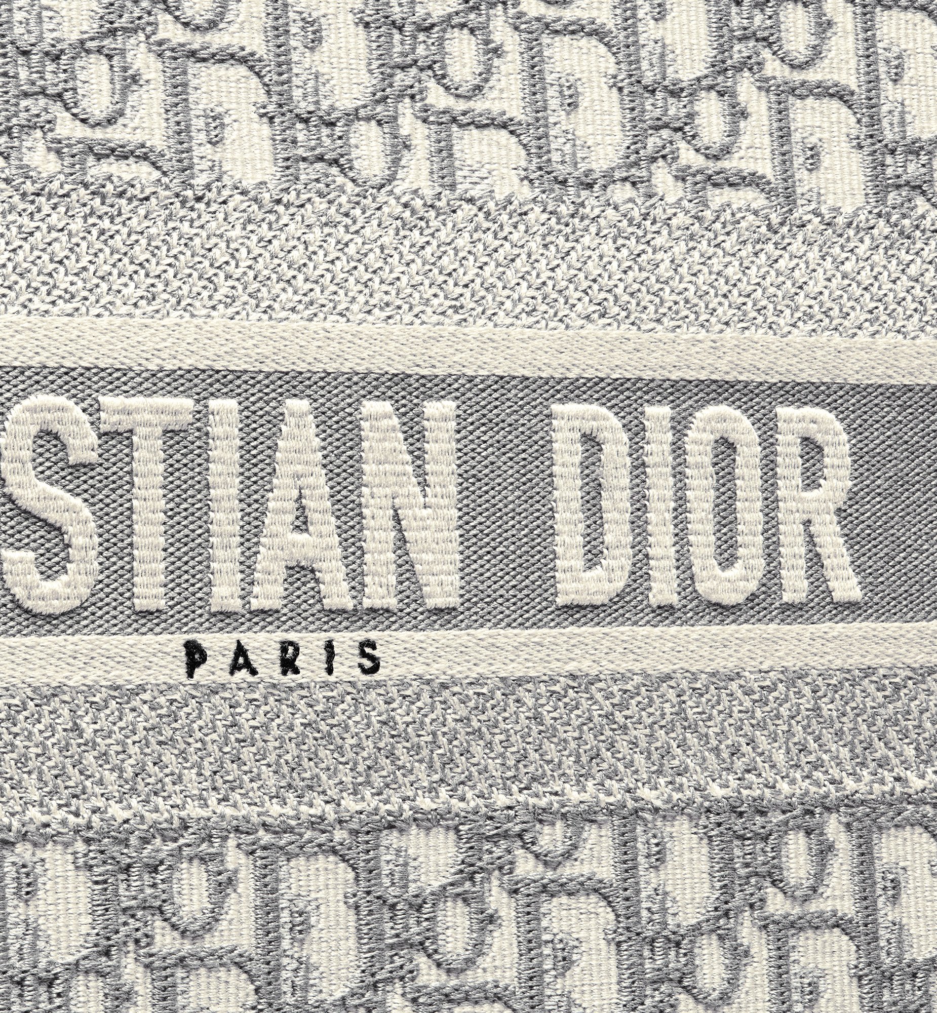 Dior Large Book Tote Bag M1286ZRIW_M20I