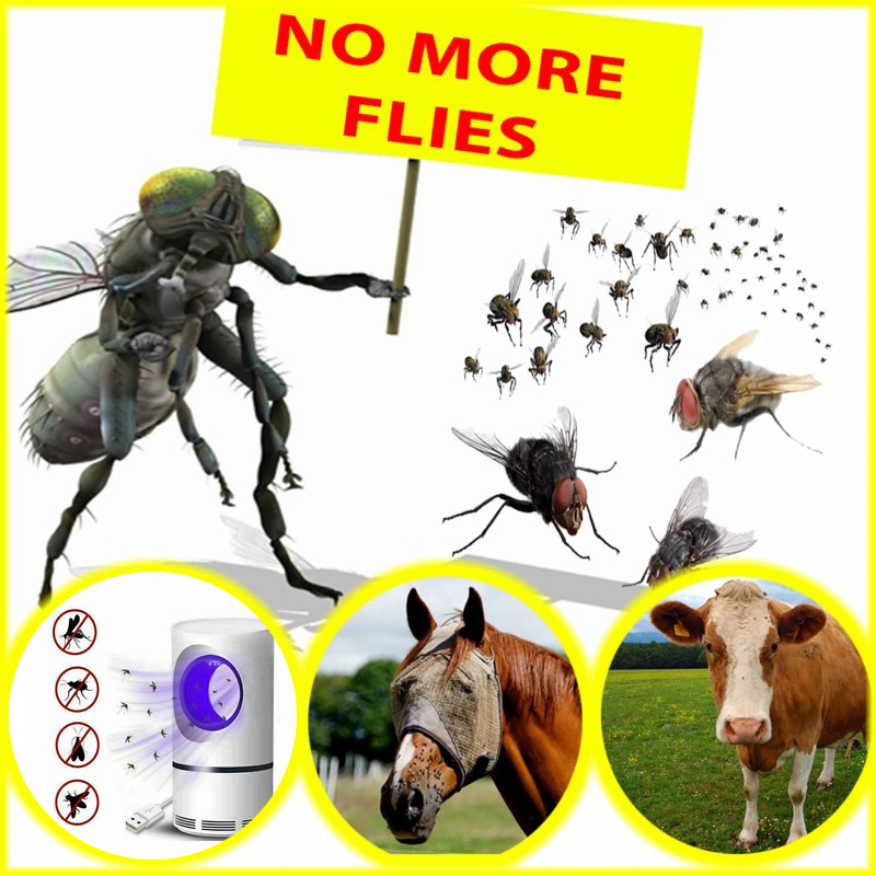 Mosquito And Flies Killer Trap - Suction Fan, No Zapper, Child Safe