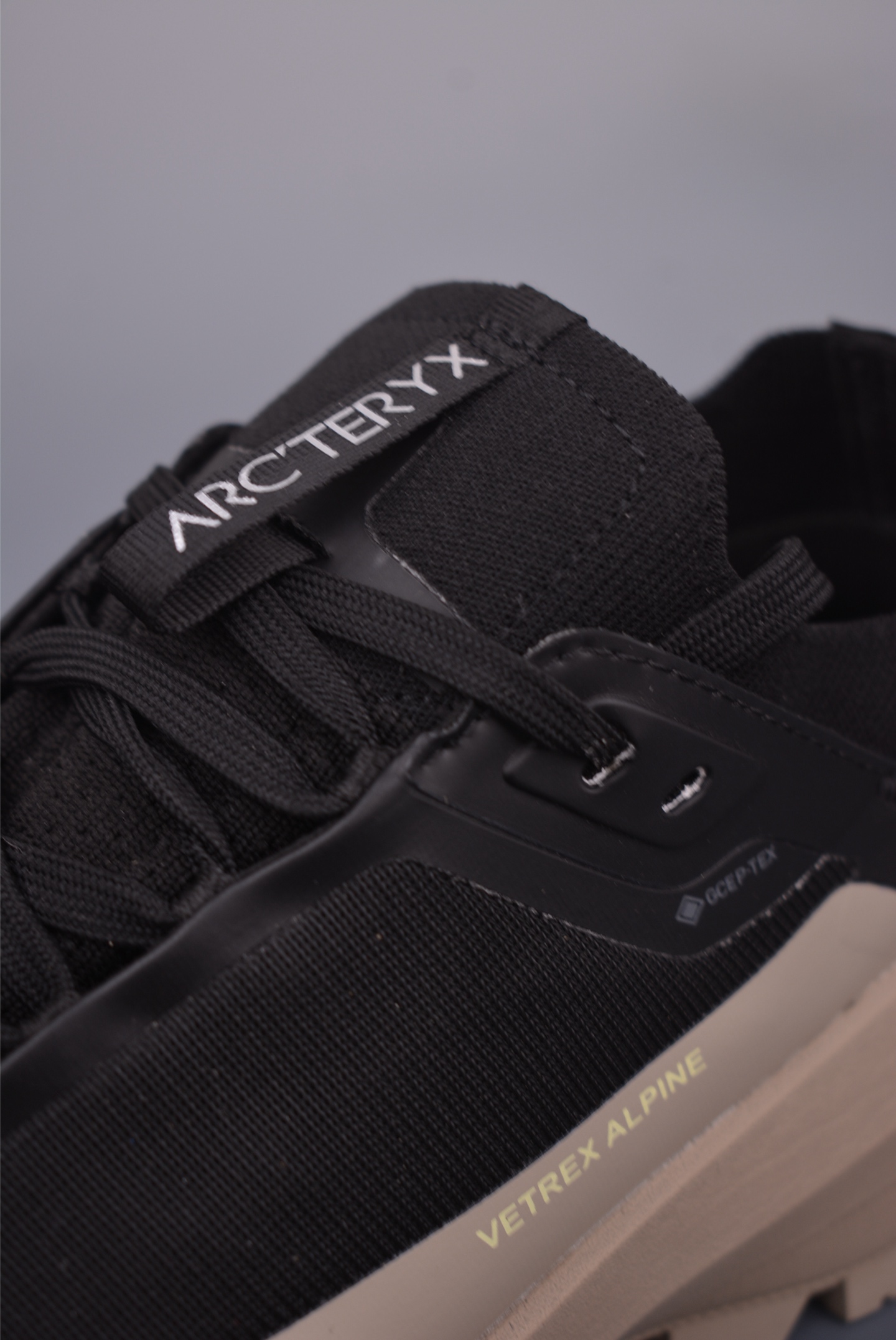 Arc'teryx VERTEX ALPINE M sneakers 
