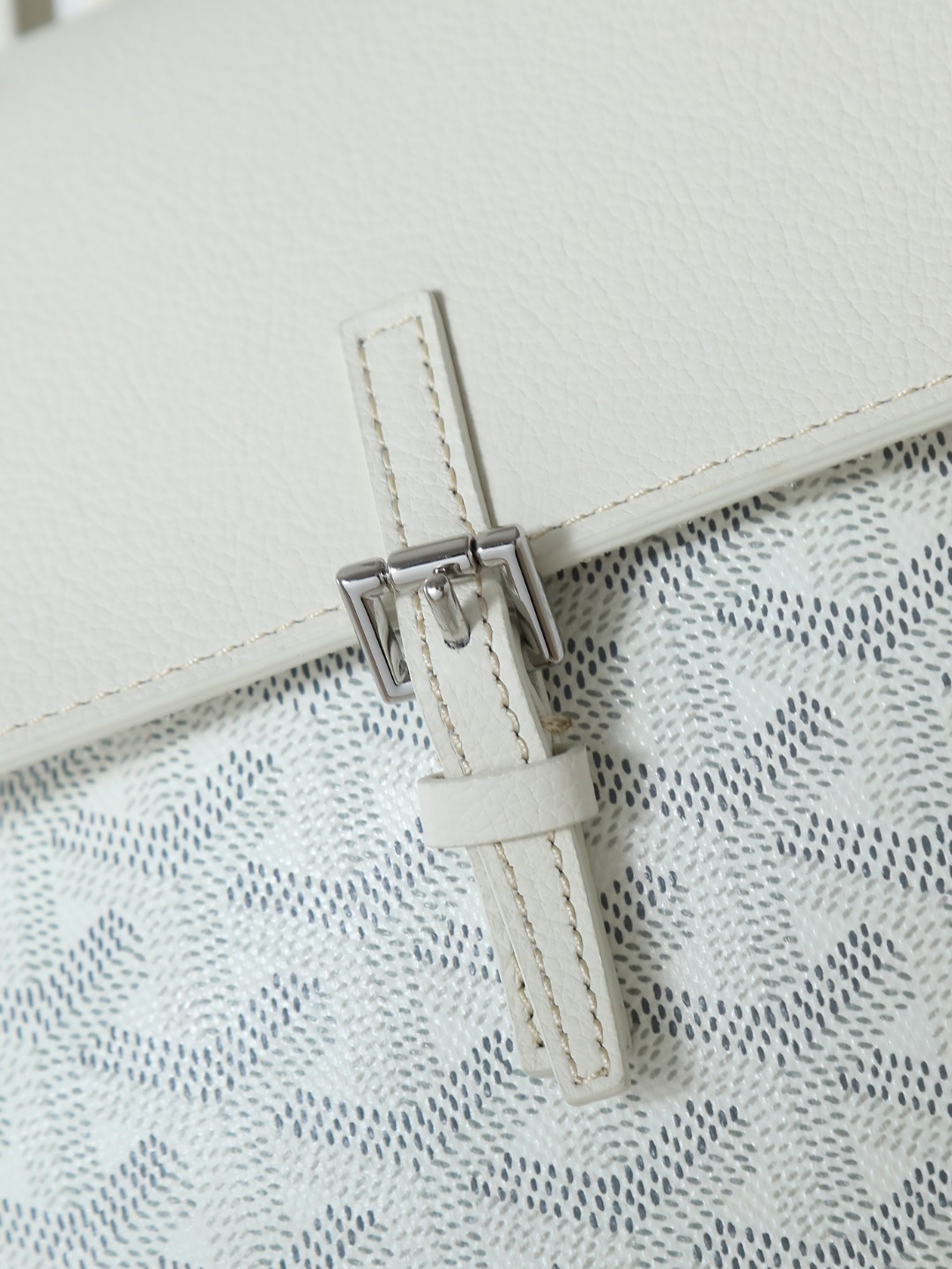 Goyard Aln Mini Backpack 020194