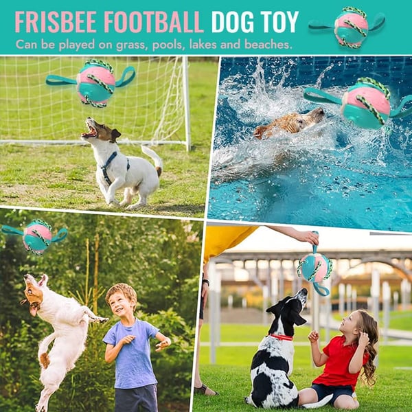 🔥Last Day Promotion-[SAVE 50% OFF]--Pet Toy Flying Saucer Chew Ball--BUY 2 GET 10% OFF & FREE SHIPPING