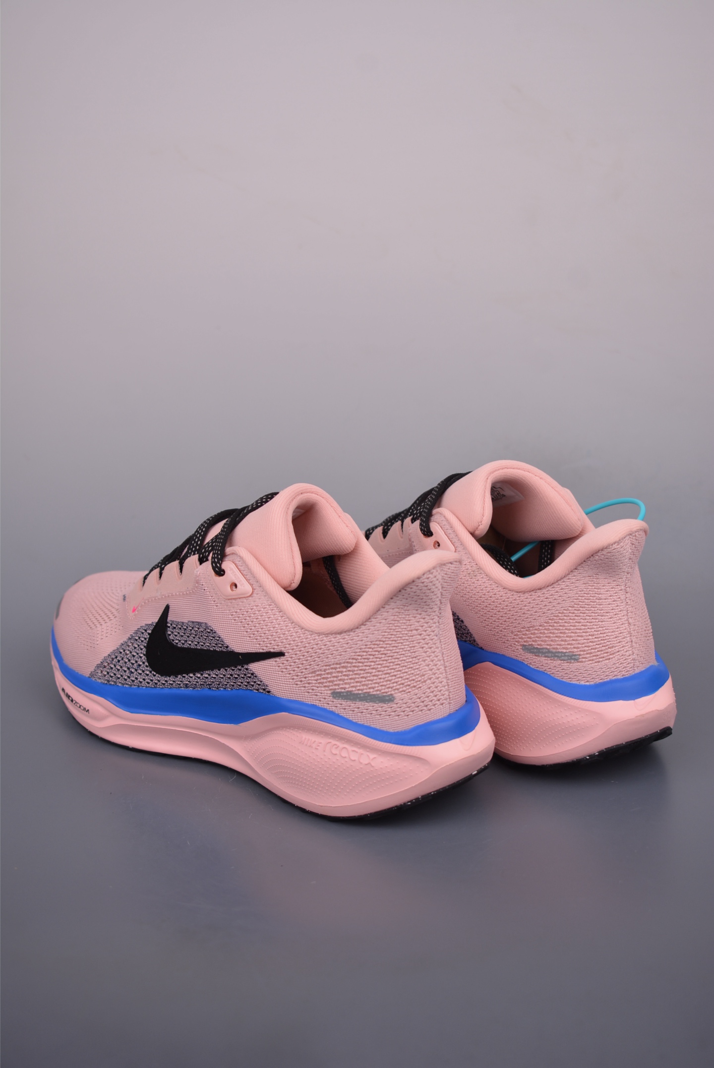 Nike Air Zoom Pegasus 41 