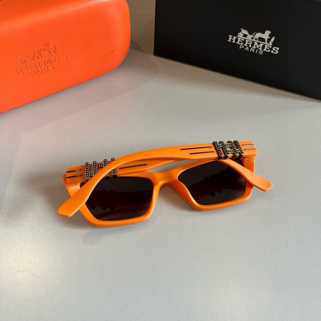 Hermes polarized sunglasses