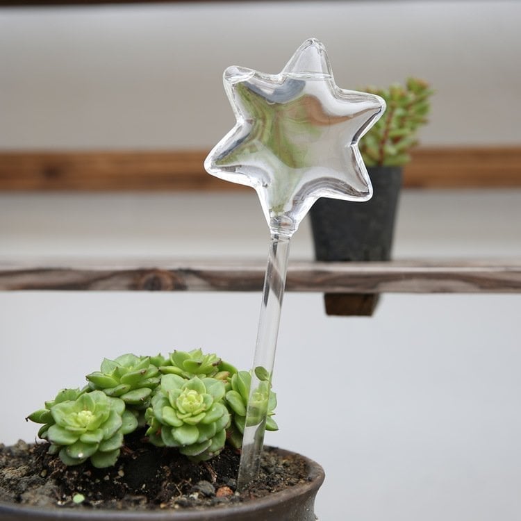 🐦Last Day Flash Sale 70% OFF🐦-- Self-Watering Plant Bulbs