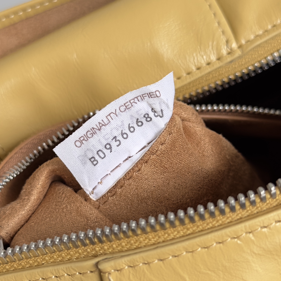 Bottega Veneta 2023 Early Spring Series Arco Camera Bag 731165