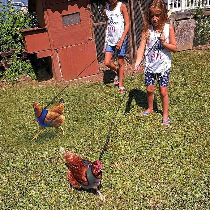 HOT SALE🔥Adjustable Chicken Harness