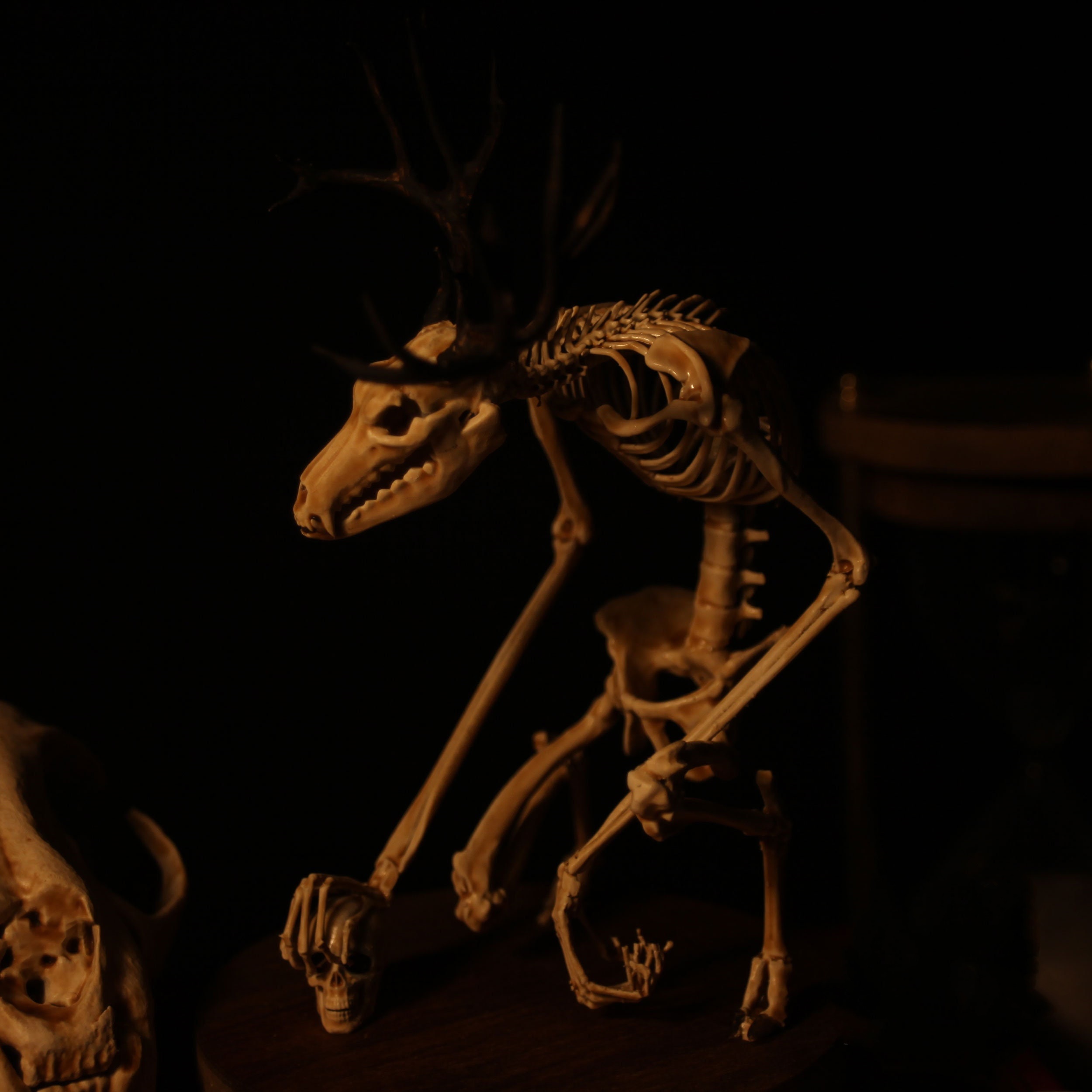 👍Last Day Promotion 60% OFF💥WENDIGO SKELETON CURIOSITY CABINET