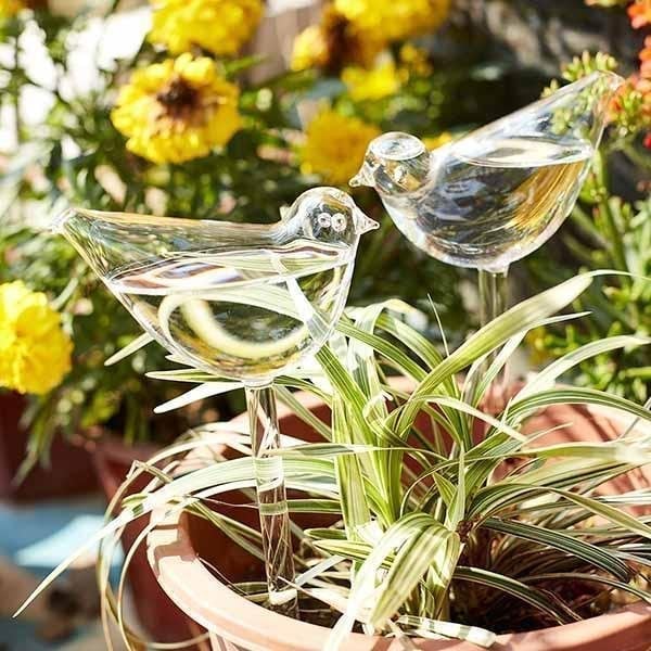 🐦Last Day Flash Sale 70% OFF🐦-- Self-Watering Plant Bulbs