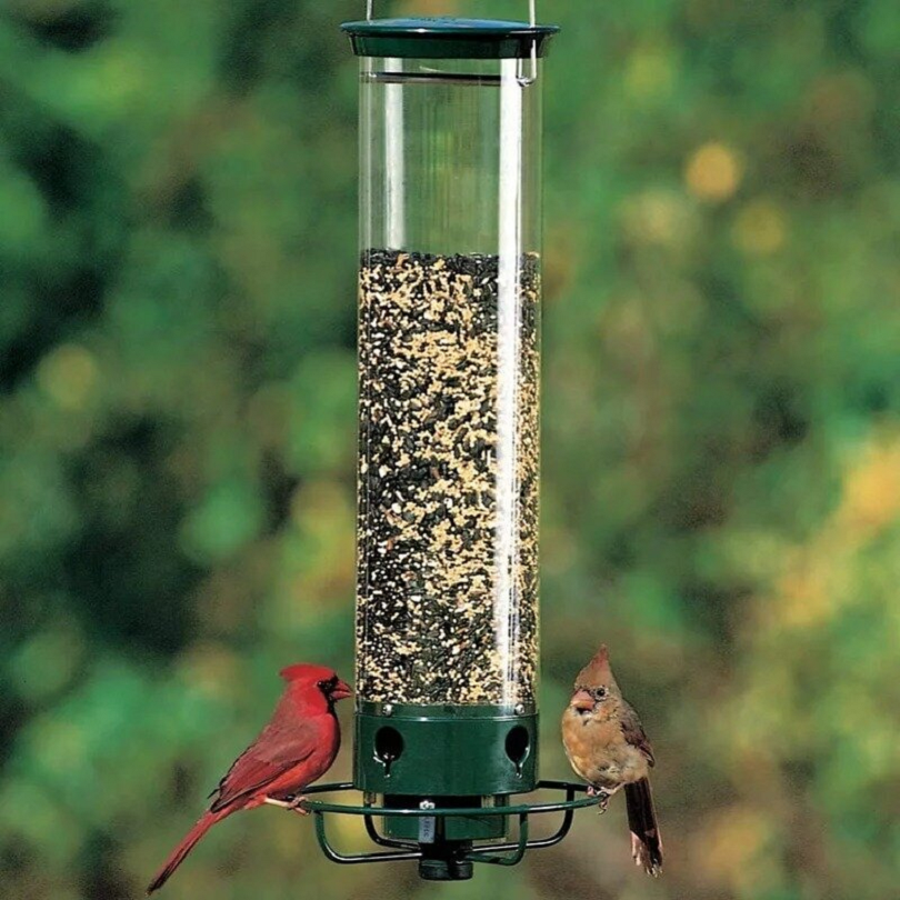 🔥BUY 2 GET 1 FREE🔥Squirrel-Proof Bird Feeder【Just $29.96】