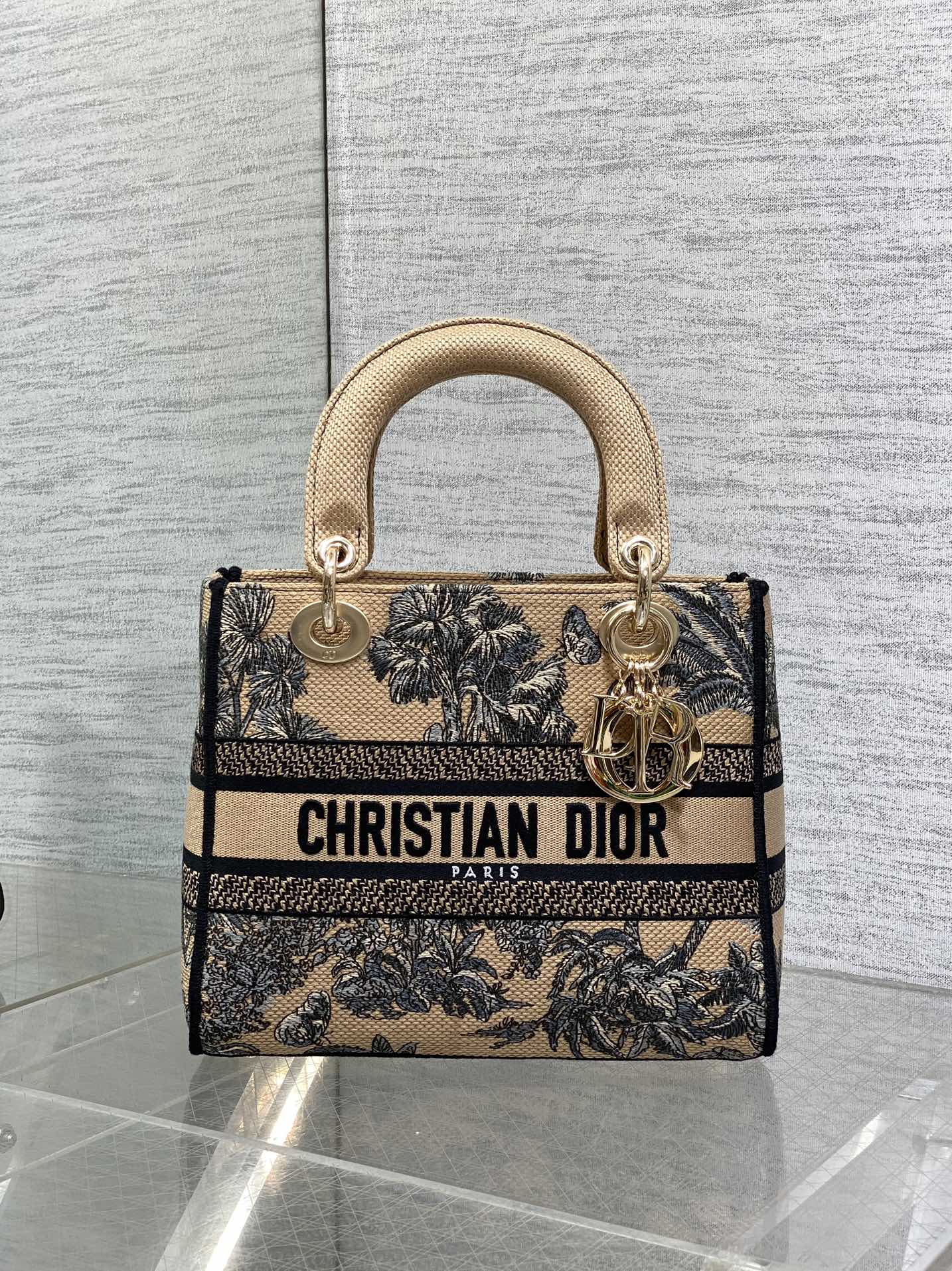 Dior Lady Summer Collection Embroidered Lady Bag