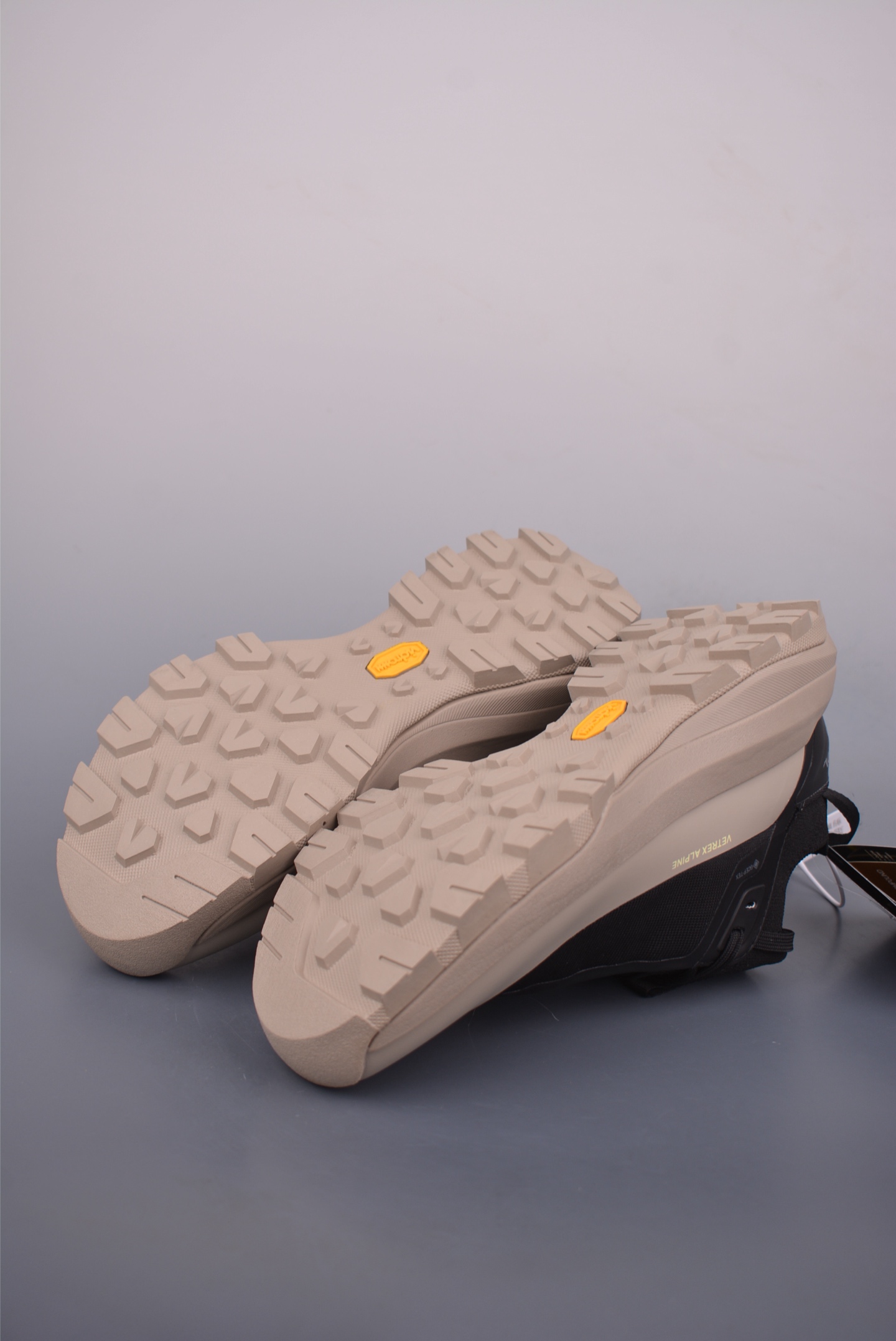 Arc'teryx VERTEX ALPINE M sneakers 