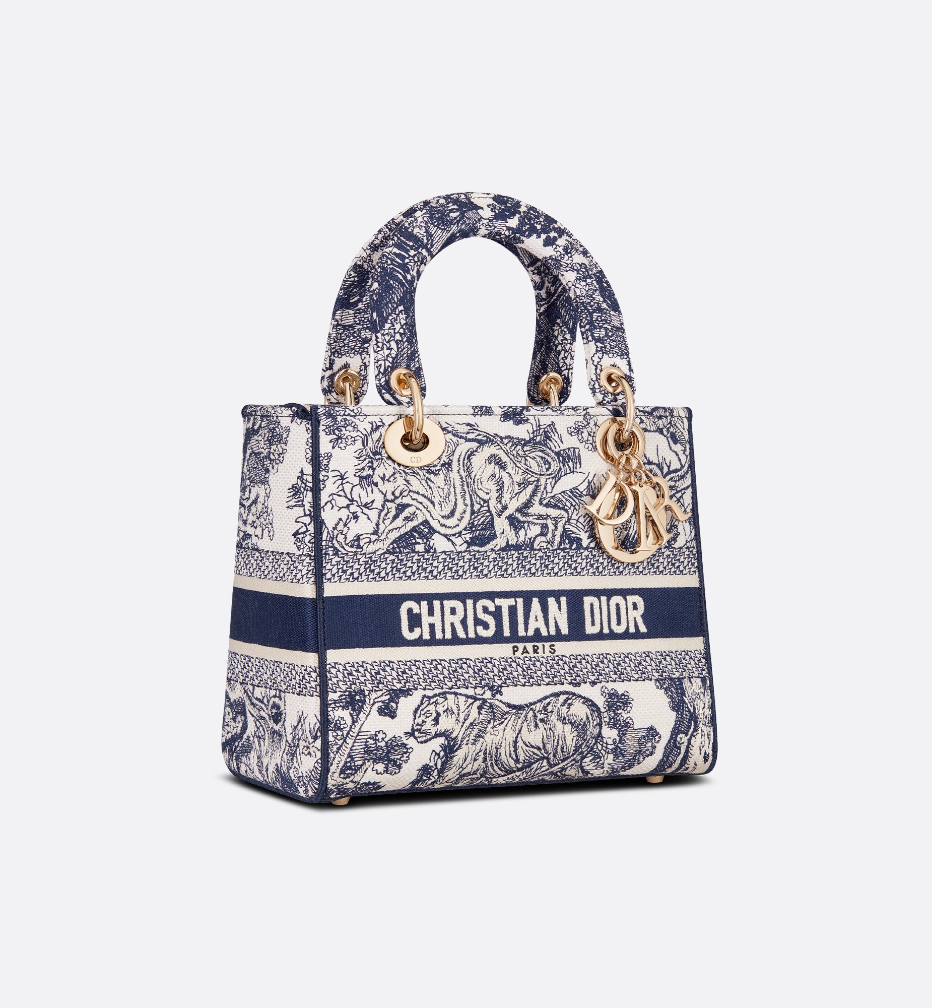Dior Medium Lady D-Lite Bag M0565OTDT_M808
