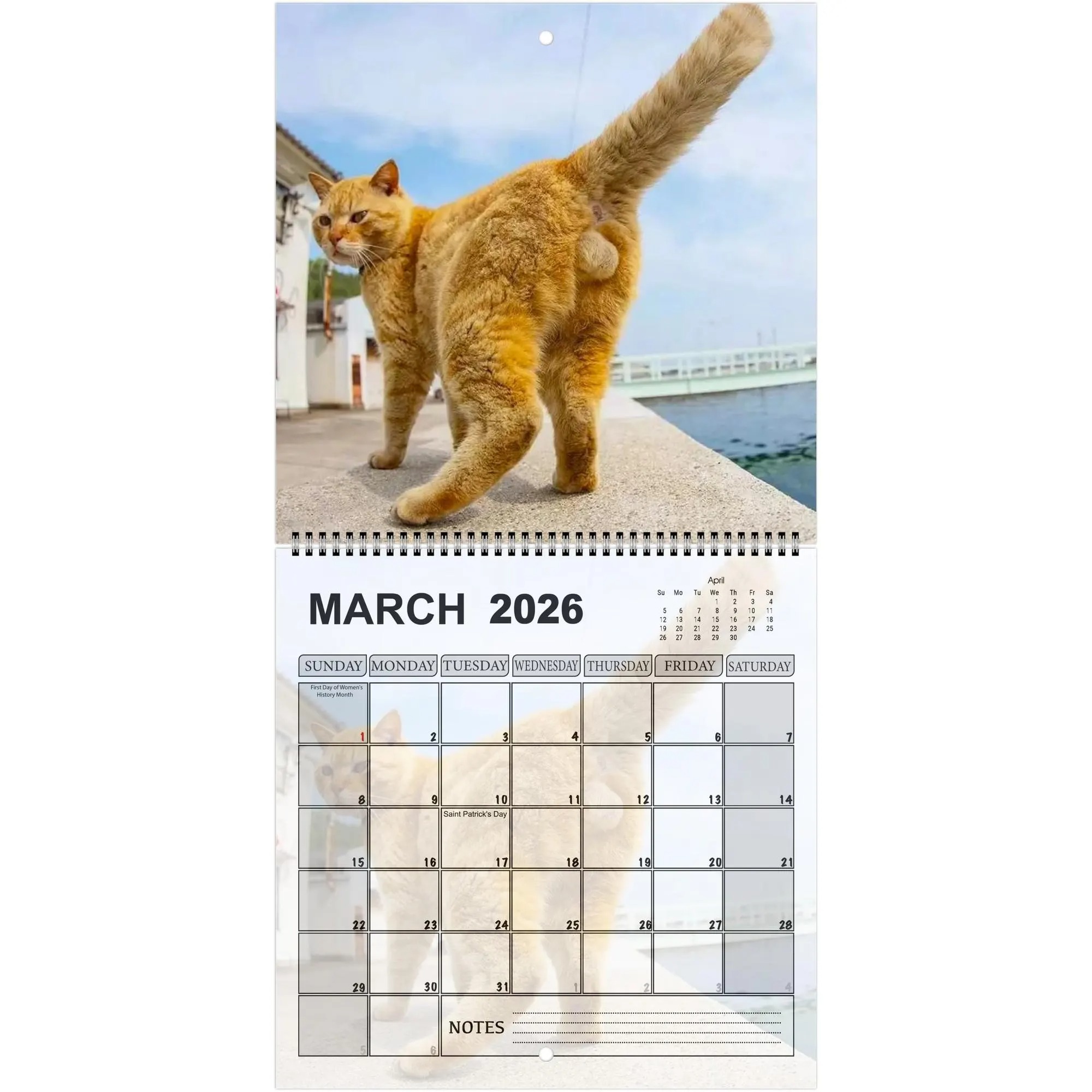 Cats' Buttholes 2026 Calendar: Funny Gag Gift for Cat Lovers