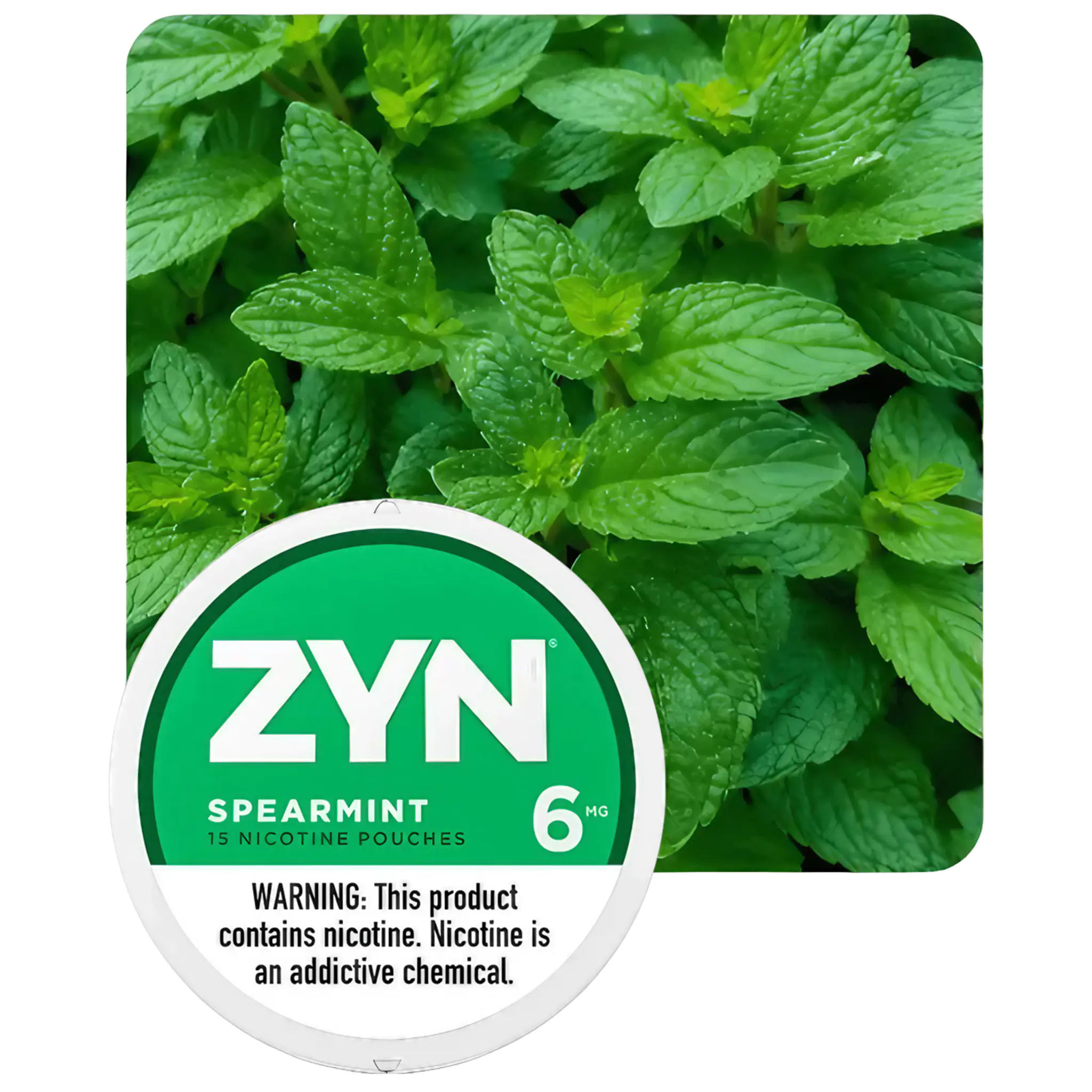 ZYN SPEARMINT 6MG