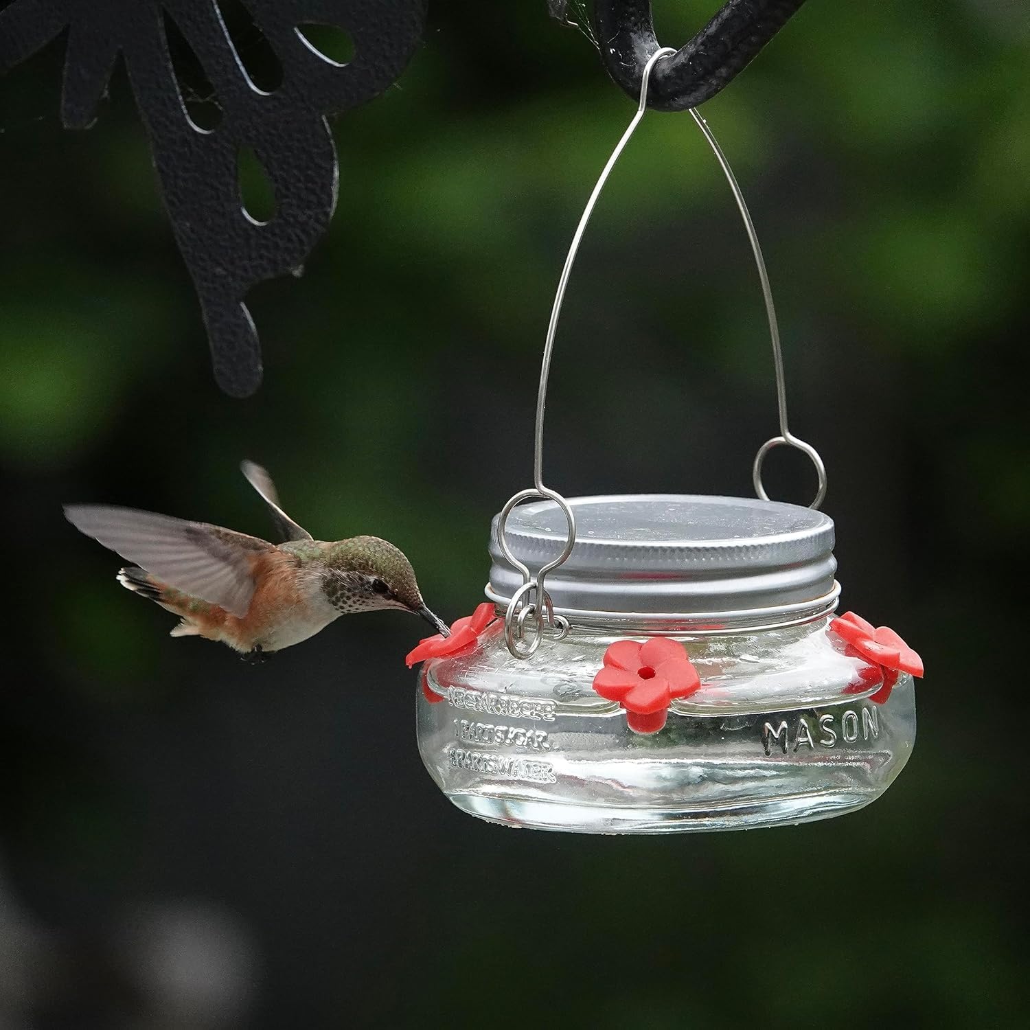 🔥Last Day Sale 50% OFF💥Beautiful Mason JarHummingbird Feeder