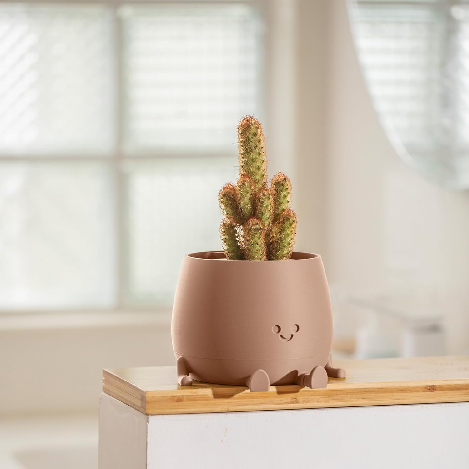 🔥ON SALE ALERT!🔥Happy Face Planter Self Watering Plant Pot with Drainage Holes
