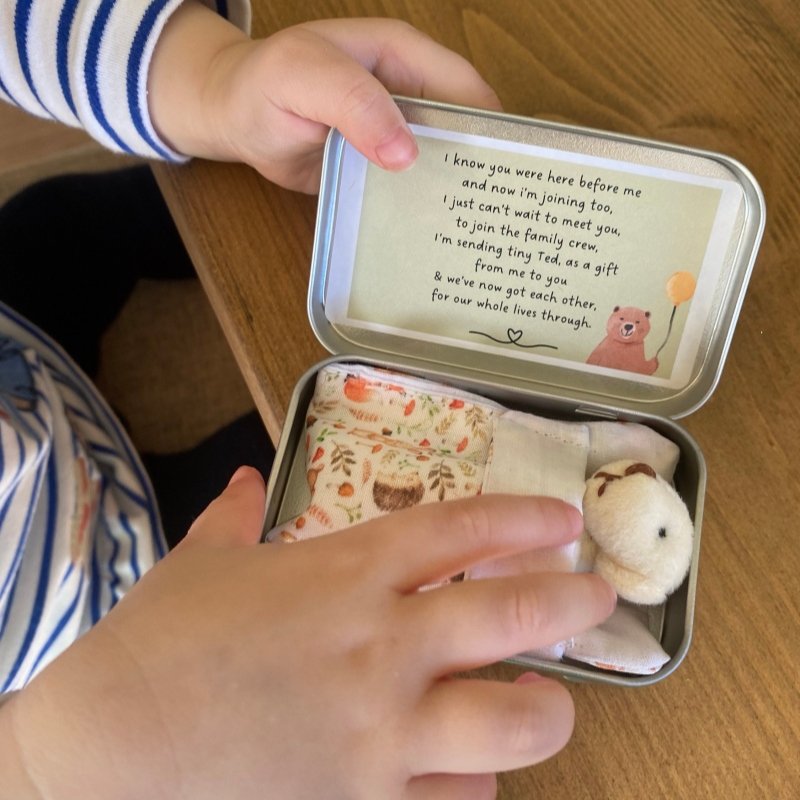 Sibling Teddy in a Tin | Idea gift