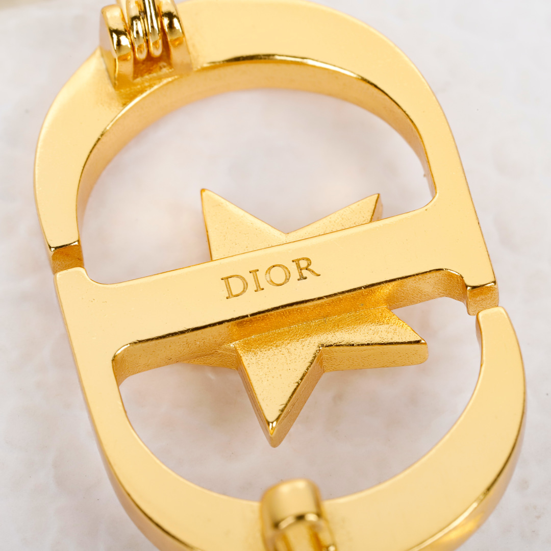 Dior star cd brooch