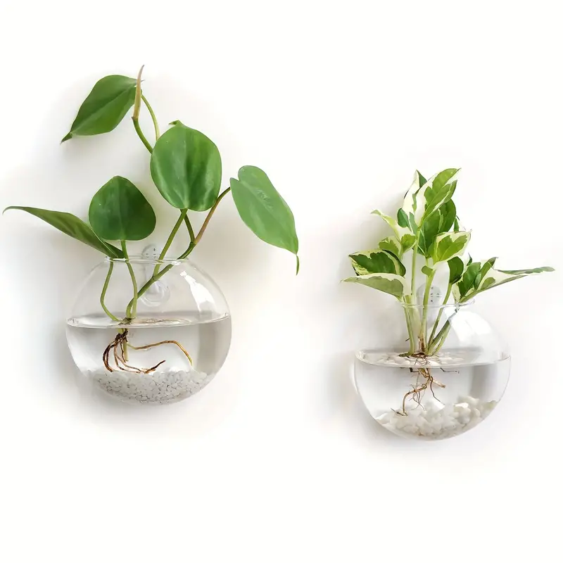 🌺🌺Creative Hanging Wall Glass Vase