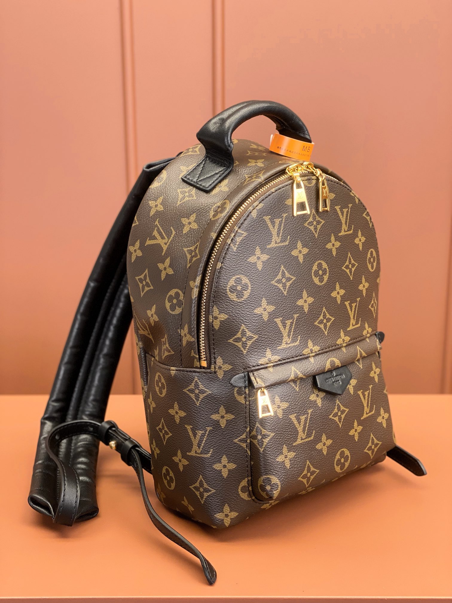 Louis Vuitton PALM SPRINGS Small Backpack M44871