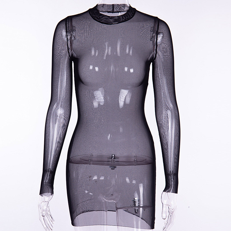 See Through Mesh Long Sleeve Dress