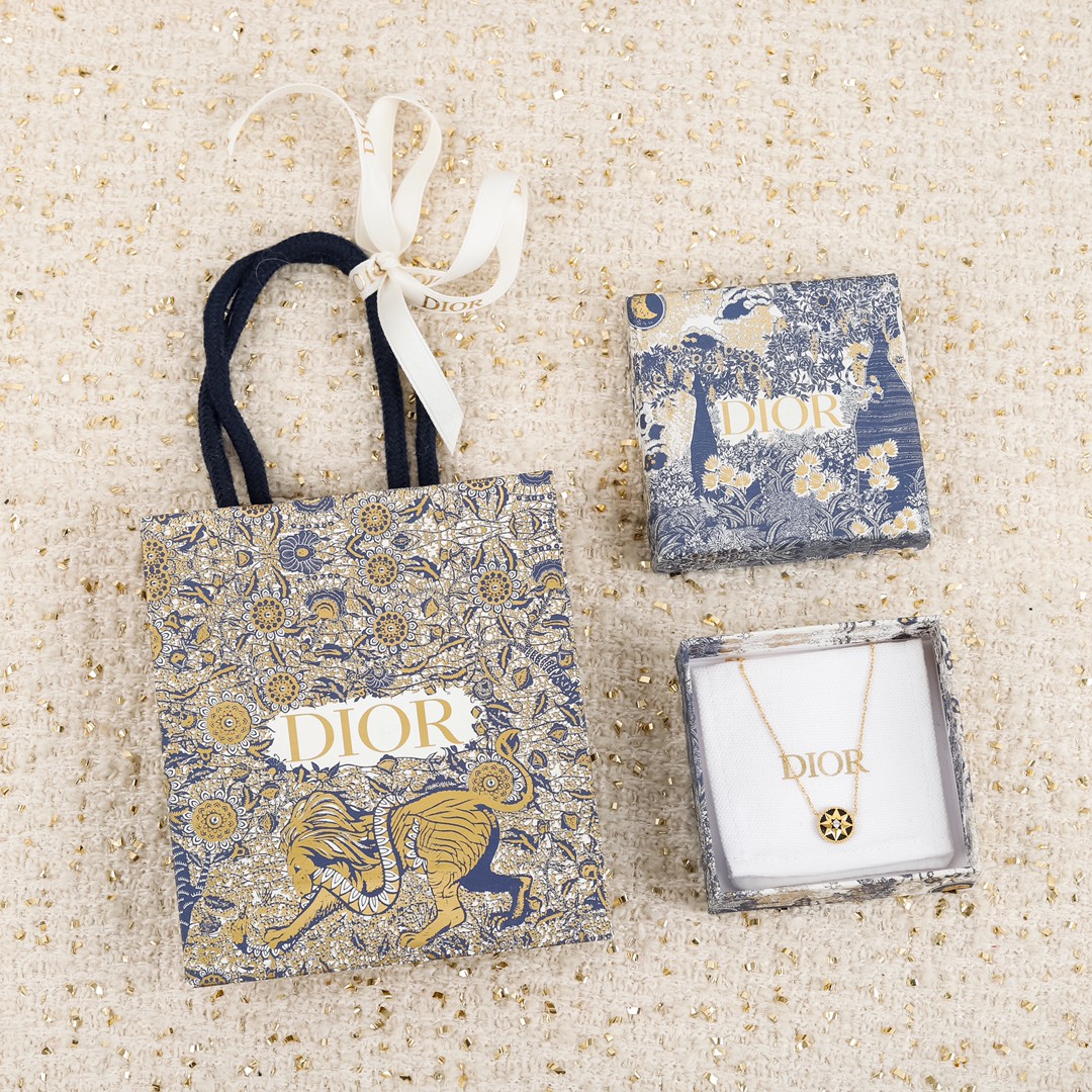 Dior compass necklace