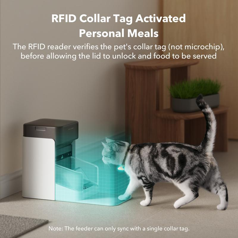 Automatic Cat Feeder | Smart Pet Feeder with App Control & Collar Tag