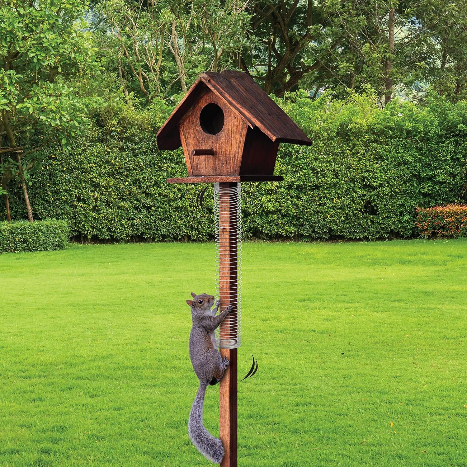 ✨2024 NEW✨Squirrel-Proof Bird Feeder Accessory that Guards Bird Seed